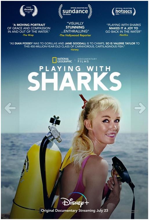 Jugando con tiburones 2021 ES